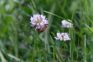 DSCF9160.JPG