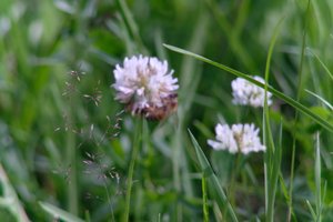 DSCF9161.JPG