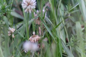 DSCF9162.JPG