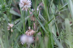 DSCF9163.JPG