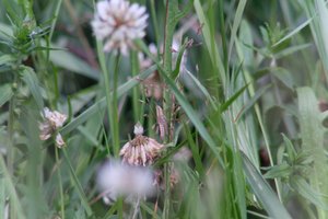 DSCF9164.JPG