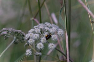 DSCF9177.JPG