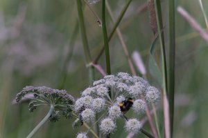 DSCF9182.JPG