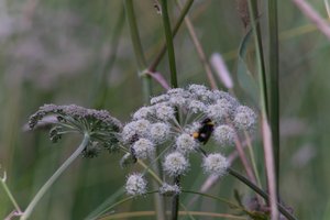 DSCF9187.JPG
