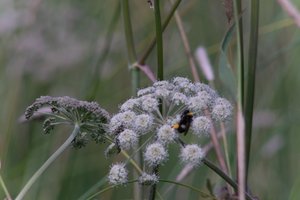 DSCF9188.JPG