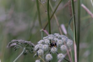 DSCF9191.JPG