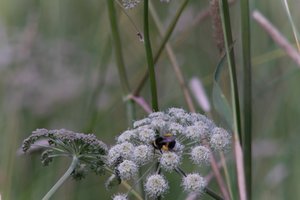 DSCF9193.JPG