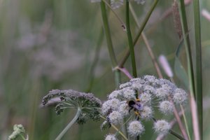 DSCF9199.JPG