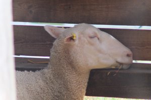 DSCF9223.JPG