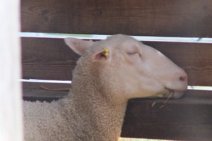 DSCF9224.JPG