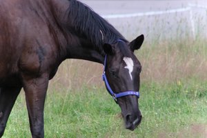 DSCF9283.JPG