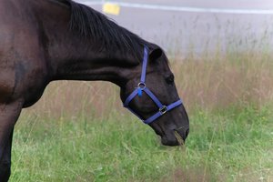 DSCF9290.JPG