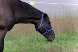 DSCF9291.JPG