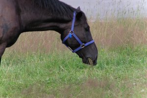 DSCF9296.JPG