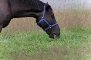 DSCF9297.JPG