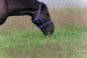 DSCF9298.JPG