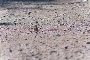DSCF9389.JPG