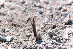 DSCF9478.JPG