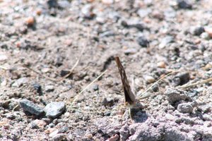DSCF9480.JPG