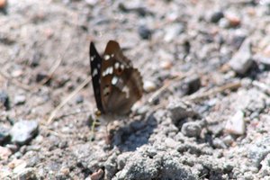DSCF9483.JPG