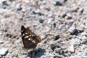 DSCF9485.JPG
