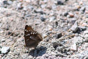 DSCF9486.JPG