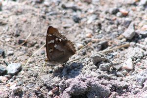 DSCF9488.JPG