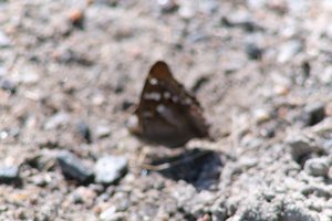 DSCF9490.JPG