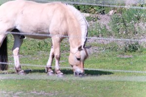 DSCF9529.JPG