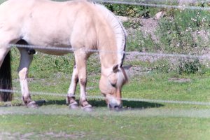 DSCF9530.JPG