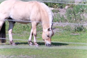 DSCF9531.JPG