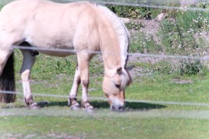 DSCF9532.JPG