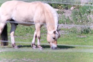 DSCF9533.JPG