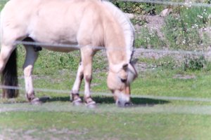DSCF9534.JPG