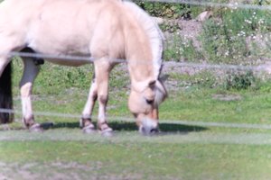 DSCF9535.JPG