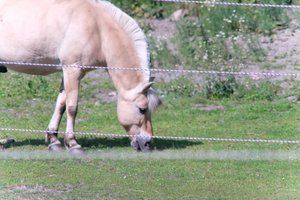 DSCF9536.JPG