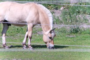 DSCF9540.JPG
