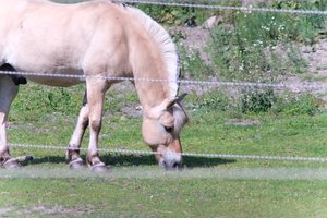 DSCF9542.JPG