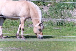 DSCF9543.JPG