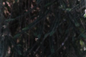 DSCF9547.JPG