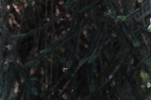 DSCF9549.JPG