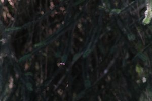 DSCF9551.JPG