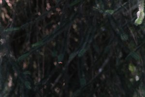 DSCF9552.JPG