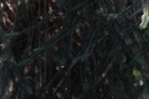 DSCF9553.JPG