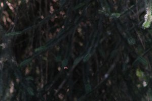 DSCF9554.JPG