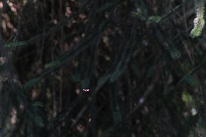DSCF9555.JPG