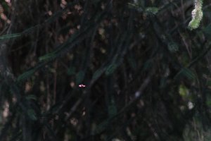 DSCF9557.JPG