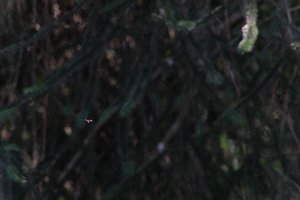 DSCF9566.JPG