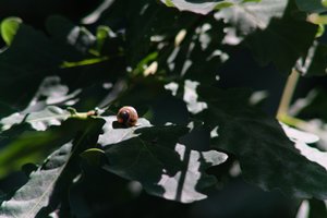 DSCF9569.JPG