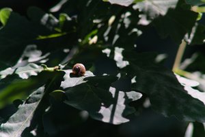 DSCF9570.JPG